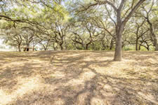 246 Royal Oaks #1, Yorktown, TX 78164