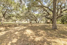 246 Royal Oaks #1, Yorktown, TX 78164
