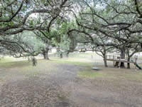 246 Royal Oaks #1, Yorktown, TX 78164