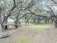 246 Royal Oaks #1, Yorktown, TX 78164