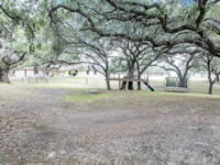 246 Royal Oaks #1, Yorktown, TX 78164