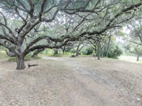 246 Royal Oaks #1, Yorktown, TX 78164