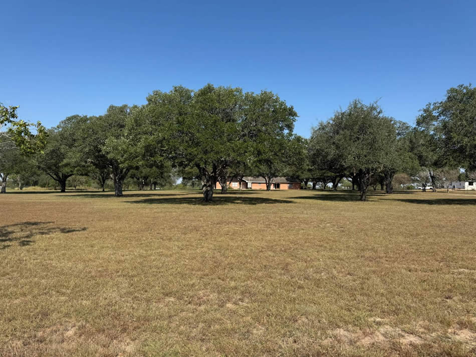 788 Metting School Rd, Yorktown, TX 78164