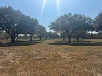 788 Metting School Rd, Yorktown, TX 78164