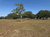 788 Metting School Rd, Yorktown, TX 78164