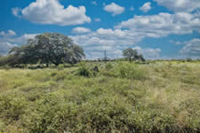 10728 FM 108, Smiley, TX 78159