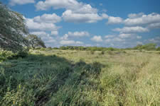 10728 FM 108, Smiley, TX 78159