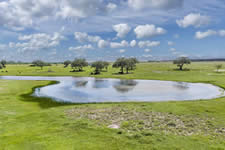land for sale in Nordheim Texas